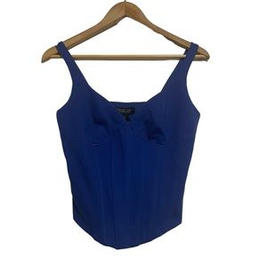 Rachel Zoe Blue Corset XS Lined Top NWT